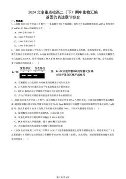 2024北京重点校高二（下）期中生物汇编：基因的表达章节综合-答案