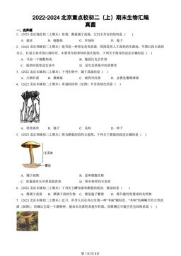 2022-2024北京重点校初二（上）期末生物汇编：真菌-答案