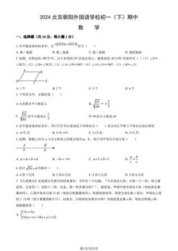 2024北京朝阳外国语学校初一（下）期中数学（教师版）-答案