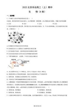 2022北京丰台高二（上）期中生物（A卷）（教师版）-答案