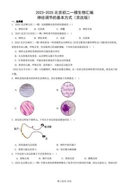 2023-2025北京初二一模生物汇编：神经调节的基本方式（京改版）-答案