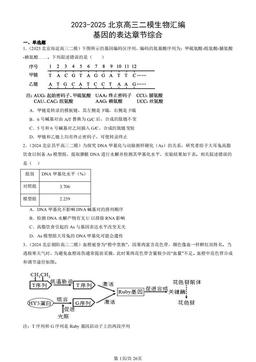 2023-2025北京高三二模生物汇编：基因的表达章节综合-答案