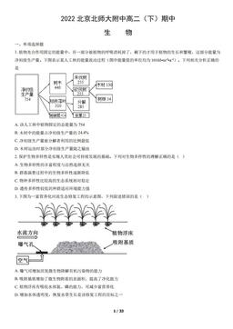 2022北京北师大附中高二（下）期中生物（教师版）-答案
