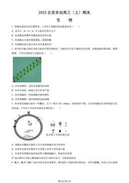 2023北京丰台高三（上）期末生物（教师版）-答案