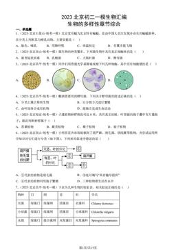 2023北京初二一模生物汇编：生物的多样性章节综合-答案