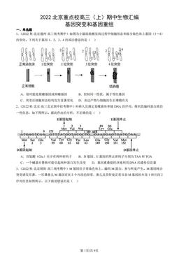 2022北京重点校高三（上）期中生物汇编：基因突变和基因重组-答案