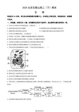 2024北京石景山高二（下）期末生物（教师版）-答案