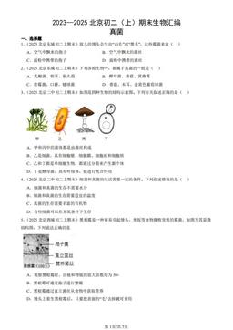 2023—2025北京初二（上）期末生物汇编：真菌-答案