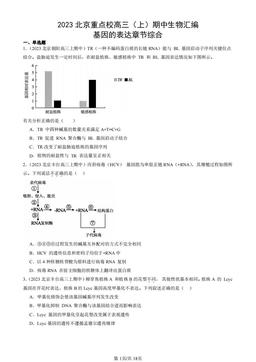 2023北京重点校高三（上）期中生物汇编：基因的表达章节综合-答案