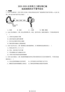 2023-2025北京高三二模生物汇编：组成细胞的分子章节综合-答案