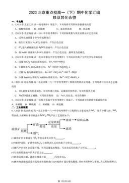 2023北京重点校高一（下）期中化学汇编：铁及其化合物-答案