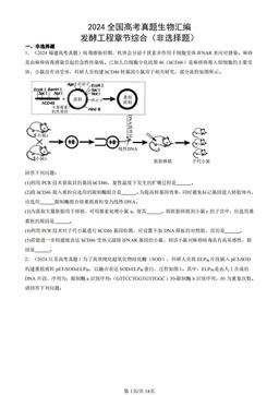 2024全国高考真题生物汇编：发酵工程章节综合（非选择题）-答案