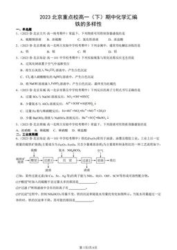 2023北京重点校高一（下）期中化学汇编：铁的多样性-答案