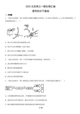 2022北京高三一模生物汇编：遗传的分子基础-答案