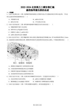 2022-2024北京高三二模生物汇编：基因指导蛋白质的合成-答案