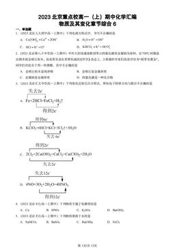2023北京重点校高一（上）期中化学汇编：物质及其变化章节综合6-答案
