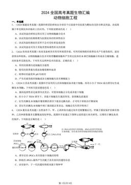 2024全国高考真题生物汇编：动物细胞工程-答案