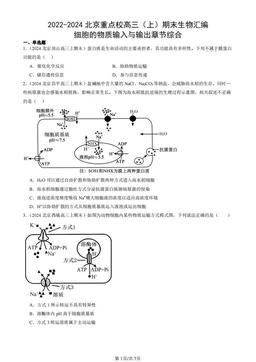 2022-2024北京重点校高三（上）期末生物汇编：细胞的物质输入与输出章节综合-答案