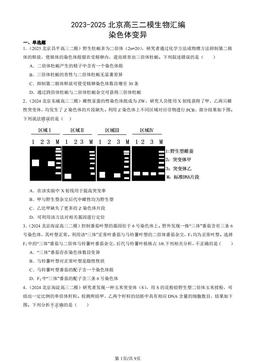 2023-2025北京高三二模生物汇编：染色体变异-答案