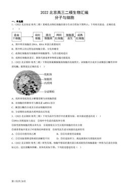 2022北京高三二模生物汇编：分子与细胞-答案