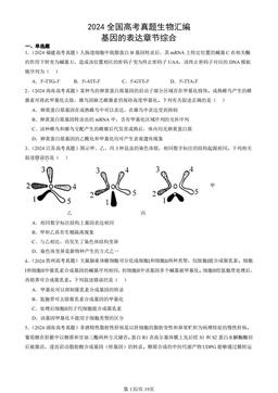 2024全国高考真题生物汇编：基因的表达章节综合-答案