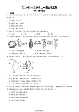 2022-2024北京初二一模生物汇编：种子的萌发-答案