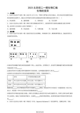 2023北京初二一模生物汇编：生物的变异-答案
