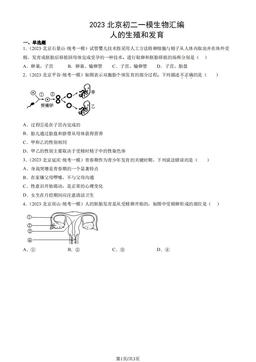 2023北京初二一模生物汇编：人的生殖和发育-答案