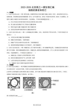 2023-2025北京高三一模生物汇编：细胞的衰老和死亡-答案