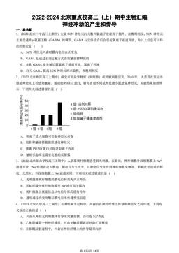 2022-2024北京重点校高三（上）期中生物汇编：神经冲动的产生和传导-答案