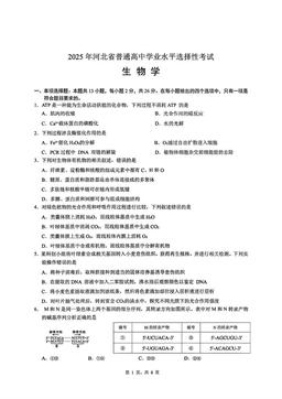2025河北高考真题生物（教师版）-答案
