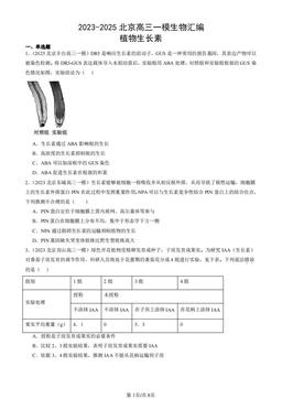 2023-2025北京高三一模生物汇编：植物生长素-答案