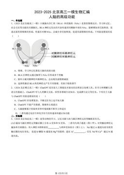 2023-2025北京高三一模生物汇编：人脑的高级功能-答案