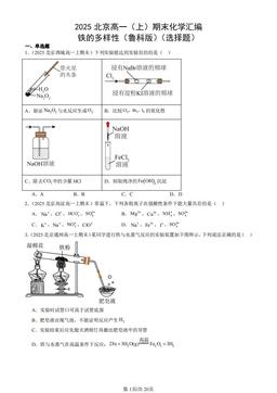 2025北京高一（上）期末化学汇编：铁的多样性（鲁科版）（选择题）-答案