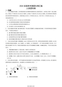 2024全国高考真题生物汇编：人类遗传病-答案