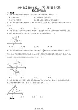 2024北京重点校初二（下）期中数学汇编：相似章节综合-答案
