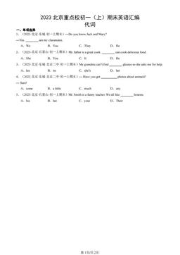 2023北京重点校初一（上）期末英语汇编：代词-答案