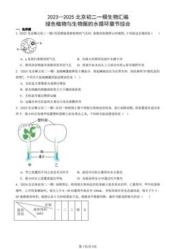 2023—2025北京初二一模生物汇编：绿色植物与生物圈的水循环章节综合-答案