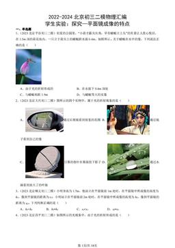 2022-2024北京初三二模物理汇编：学生实验：探究—平面镜成像的特点-答案