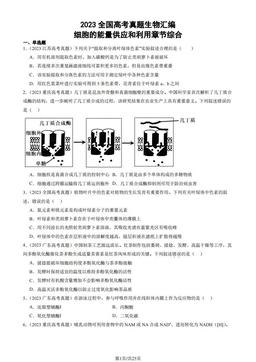2023全国高考真题生物汇编：细胞的能量供应和利用章节综合-答案
