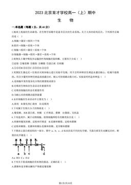2023北京育才学校高一（上）期中生物（教师版）-答案