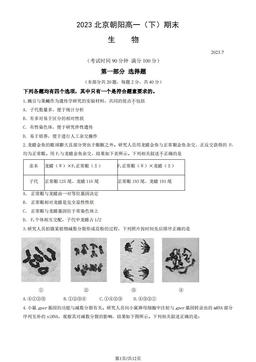 2023北京朝阳高一（下）期末生物（教师版）-答案