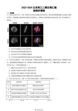 2022-2024北京高三二模生物汇编：细胞的增殖-答案