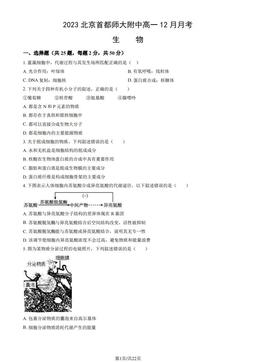 2023北京首都师大附中高一12月月考生物（教师版）-答案