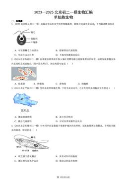 2023—2025北京初二一模生物汇编：单细胞生物-答案