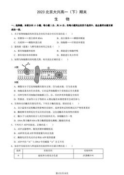 2023北京大兴高一（下）期末生物（教师版）-答案