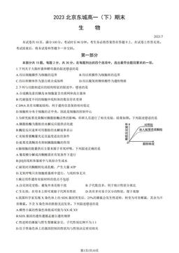 2023北京东城高一（下）期末生物（教师版）-答案