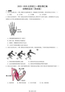 2023—2025北京初二一模生物汇编：动物的运动（京改版）-答案