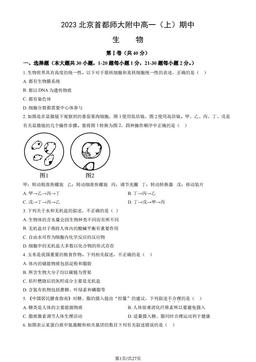 2023北京首都师大附中高一（上）期中生物（教师版）-答案