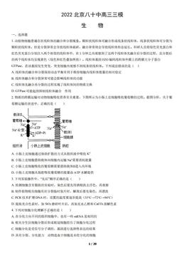 2022北京八十中高三三模生物（教师版）-答案